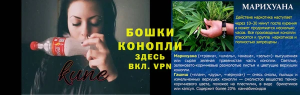 шишки Киреевск