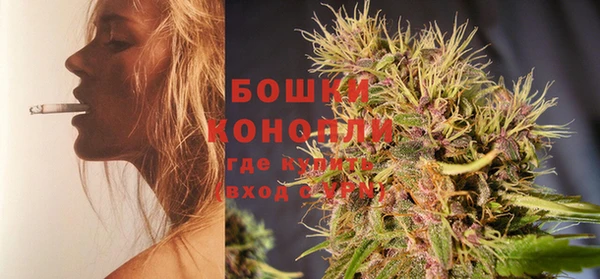 сатива Кинешма