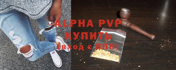 сатива Кинешма
