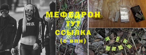 сатива Кинешма