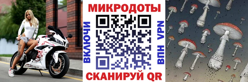 магазин blacksprut как войти Псилоцибиновые грибы GOLDEN TEACHER площадка формула Лангепас